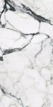 calacatta altissimo blanc 120x60 glossy 2.png