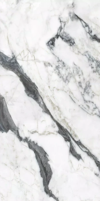 calacatta altissimo blanc 120x60 glossy .png