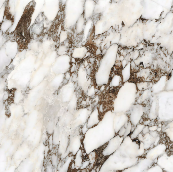 Breche Capraia 120x120 glossy 4.png