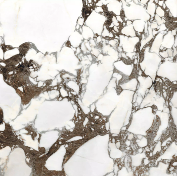 Breche Capraia 120x120 glossy 5.png
