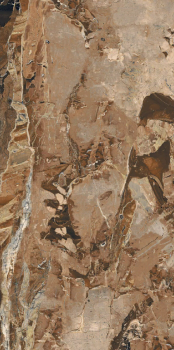 Jaspe Rouge 120x60 glossy 1.png