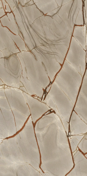 Rainforest 240 x 120 glossy.png