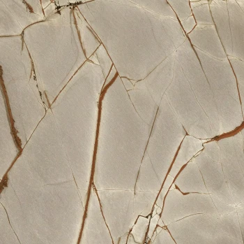 Rainforest 120 x 120 glossy 3.png