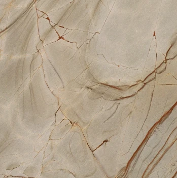 Rainforest 120 x 120 glossy.png