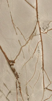 Rainforest 120 x 60 glossy 2.png