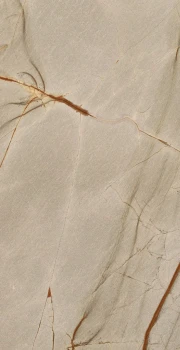 Rainforest 120 x 60 glossy 4.png