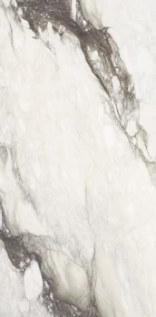 Etoile renoir 240 x 120 glossy .png