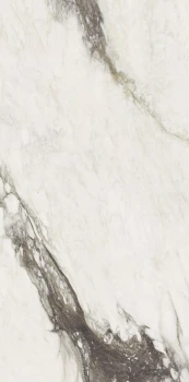 Etoile renoir 240 x 120 glossy 4.png