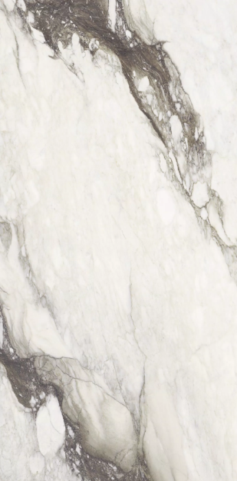 Etoile renoir 240 x 120 glossy .png