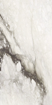 Etoile renoir 240 x 120 glossy 1.png