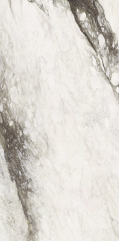 Etoile renoir 240 x 120 glossy 2.png