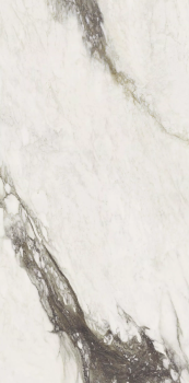 Etoile renoir 240 x 120 glossy 4.png