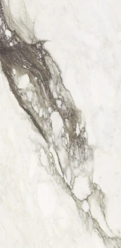 Etoile renoir 120 x 60 glossy 1.png