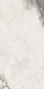Etoile renoir 120 x 60 glossy 4.png