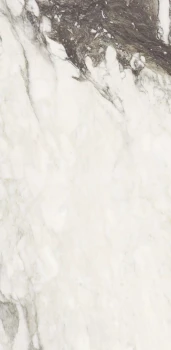 Etoile renoir 120 x 60 glossy.png