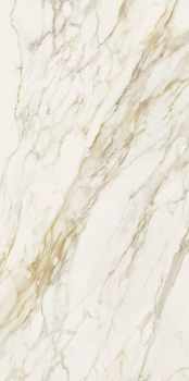 Etoile creme 240 x 120 glossy 4.png