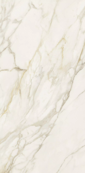 Etoile creme 120 x 60 glossy 2.png