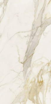 Etoile creme 120 x 60 glossy 3.png