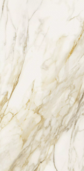 Etoile creme 120 x 60 glossy 4.png