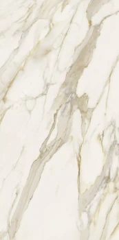 Etoile creme 120 x 60 glossy 1.png