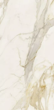 Etoile creme 120 x 60 glossy 3.png