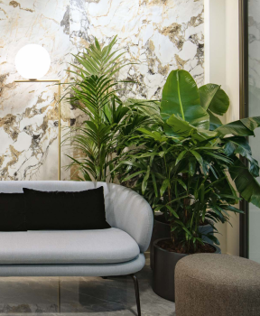 Etoile symphonie glossy.png