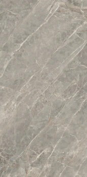 Etoile gris 240 x 120 glossy 1.png