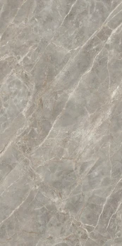 Etoile gris 240 x 120 glossy 4.png