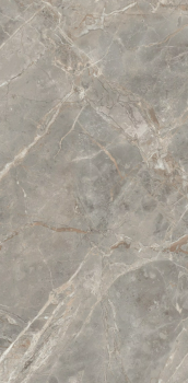 Etoile gris 120 x 60 glossy 3.png