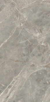 Etoile gris 120 x 60 glossy 3.png