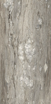 Etoile tropical 60 x 120 glossy 2.png