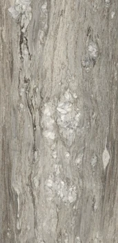 Etoile tropical 60 x 120 glossy 2.png