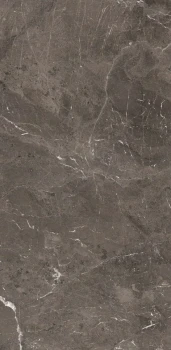 Heritage brown 240 x 120 glossy 4.png