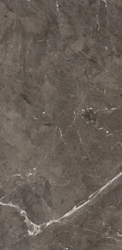 Heritage brown 240 x 120 glossy 1.png