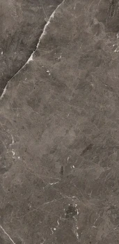 Heritage brown 240 x 120 glossy 3.png