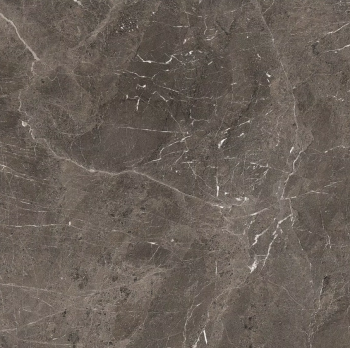 Heritage brown 120 x 120 glossy 2.png