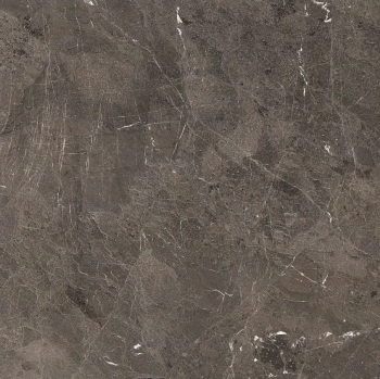 Heritage brown 120 x 120 glossy 4.png