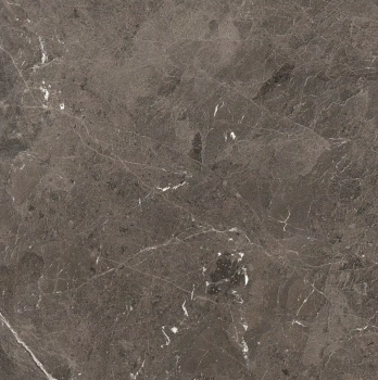 Heritage brown 120 x 120 glossy 1.png