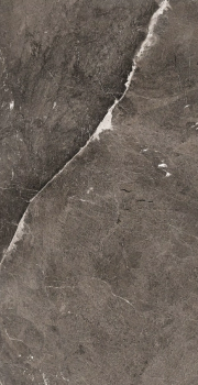 Heritage brown 120 x 60 glossy 3.png