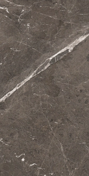 Heritage brown 120 x 60 glossy 1.png