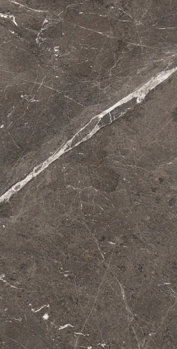 Heritage brown 120 x 60 glossy 1.png