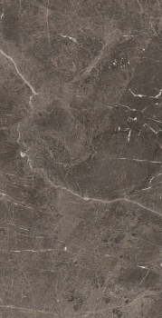 Heritage brown 120 x 60 glossy 2.png