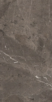 Heritage brown 120 x 60 glossy 4.png