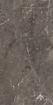 Heritage brown 120 x 60 glossy.png