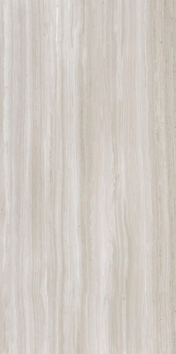 Biotech stonewood 120x60 matte .png