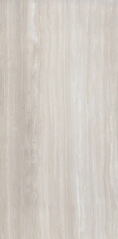 Biotech stonewood 120x60 matte 2.png