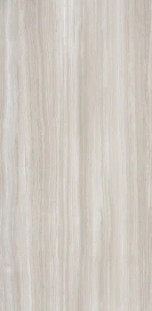 Biotech stonewood 120x60 matte 3.png
