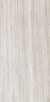 Biotech stonewood 120x60 matte 4.png