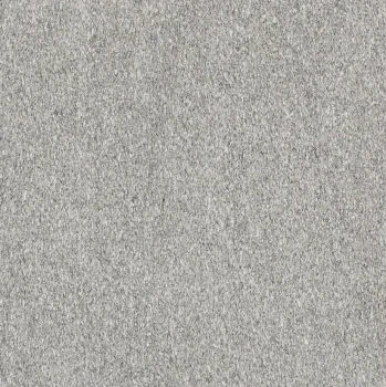 Serizzo stone 120x120 matte 1.png