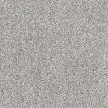 Serizzo stone 120x120 matte 2.png